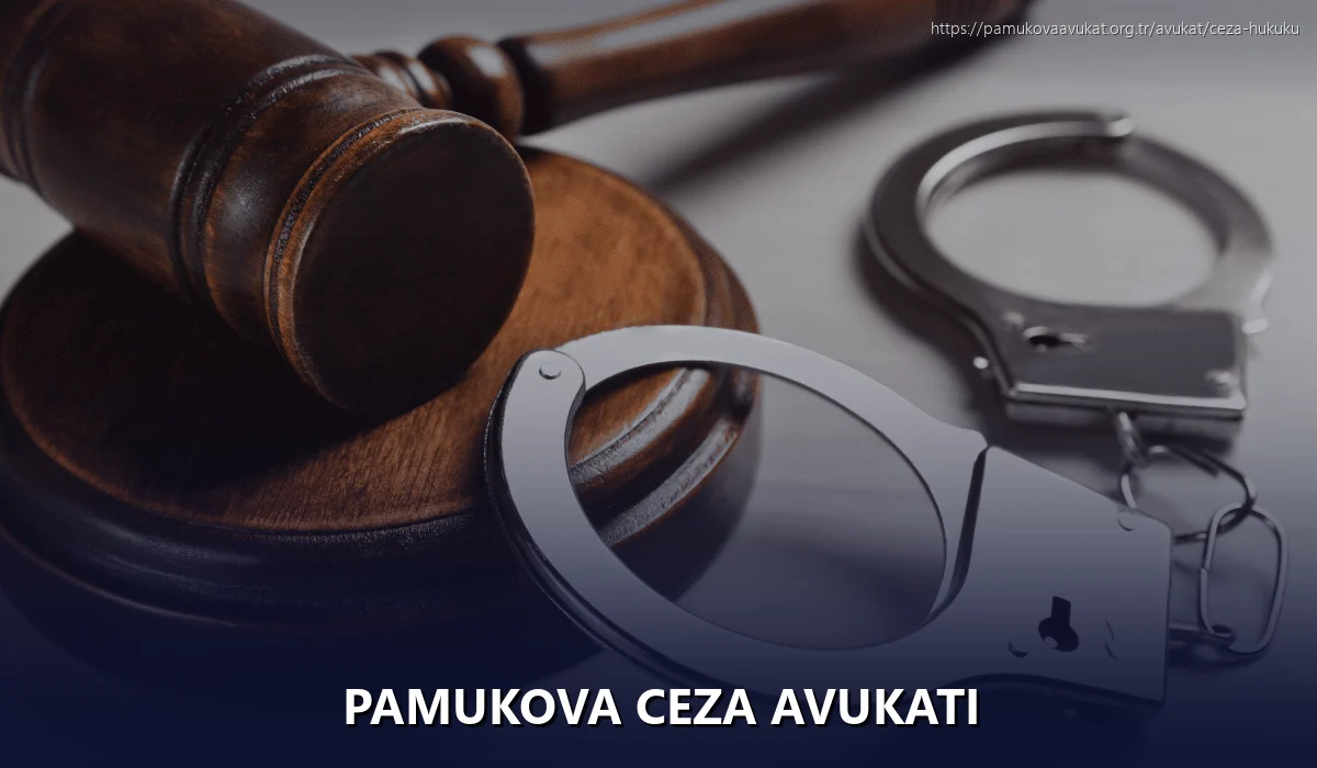 Pamukova Ceza Avukatı