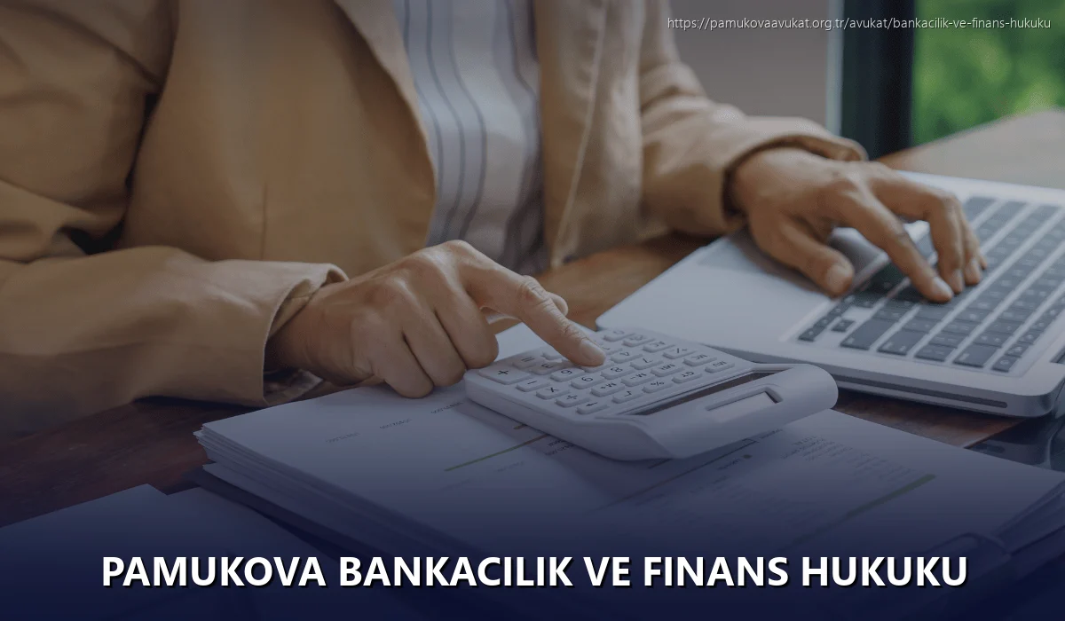 Pamukova Bankacılık ve Finans Hukuku