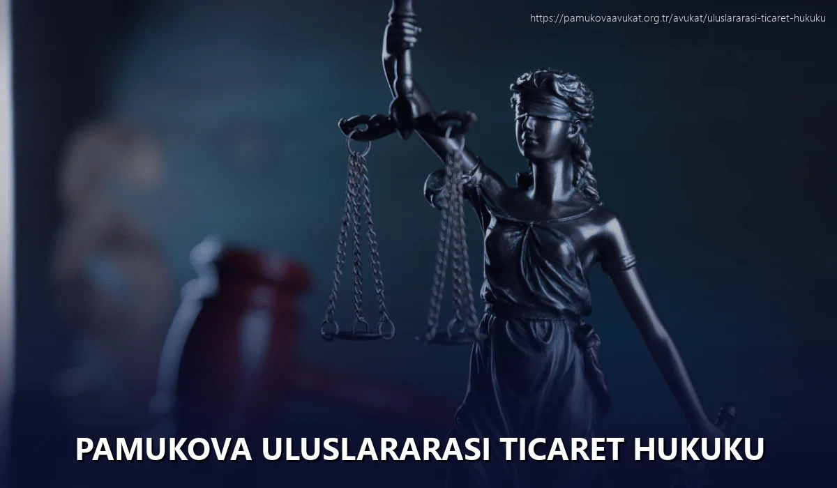 Pamukova Uluslararası Ticaret Hukuku